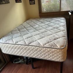 Queen Size Bed 