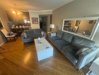 Grey sweet sofa and loveseat