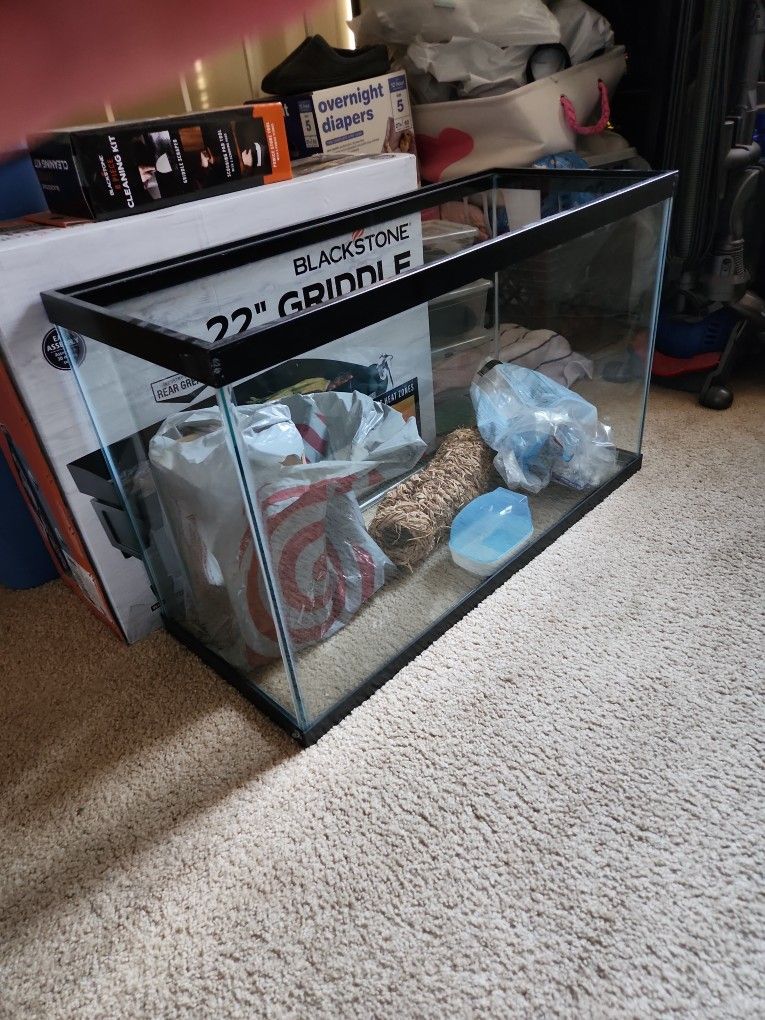 Fish Tank