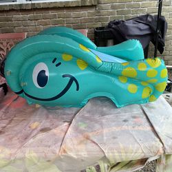 Inflatabl Float