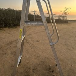 Ladder With Platform 