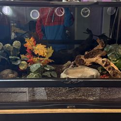 40 gal reptile tank