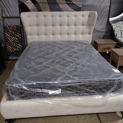 Brand New Queen Size Beige Platform Bed