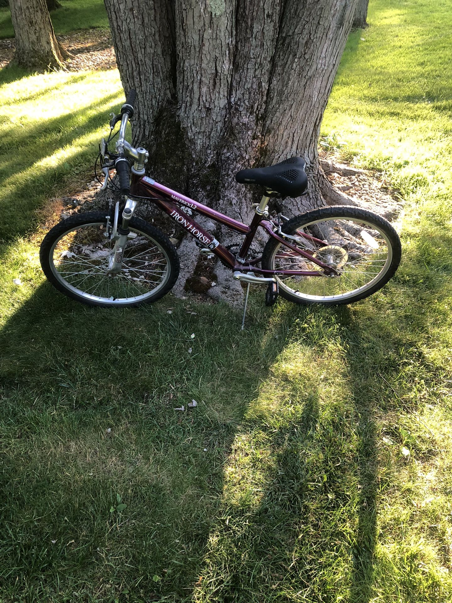 24” Iron Horse Mountain Bike (24 Speeds)