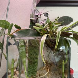 Self sustainable aquatic tanks