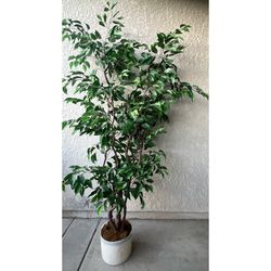 Large 6ft Artificial Tree In Pot 