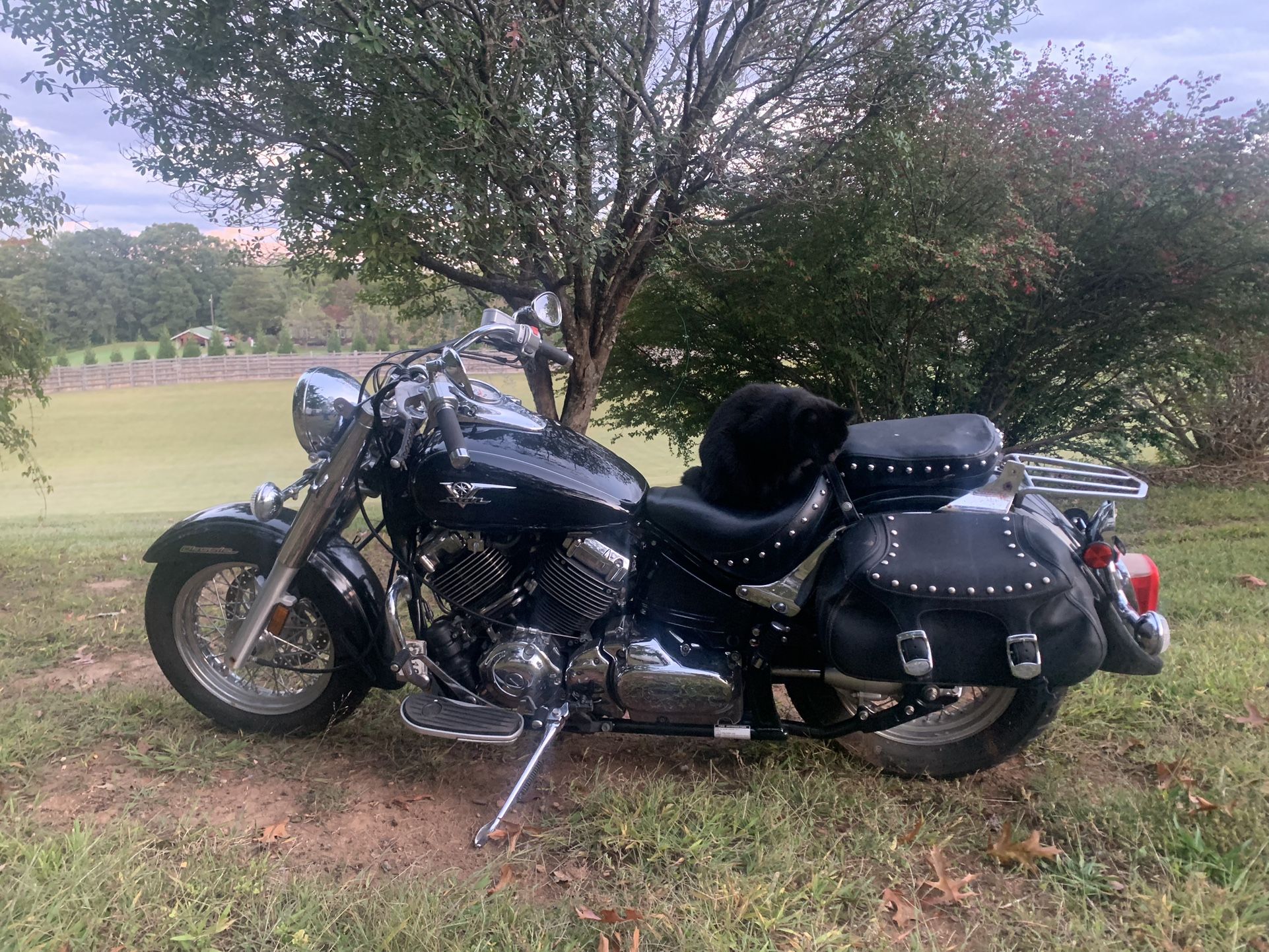 2007 Yamaha Vstar