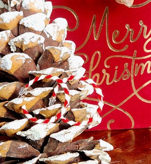 Enamel Candy Cane Hoop Earrings New