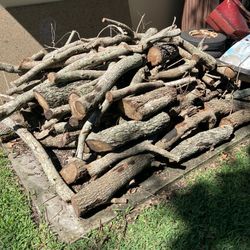 Oak Wood