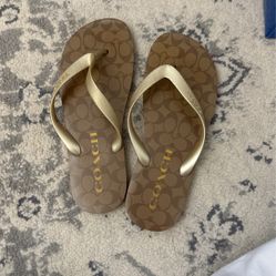 Size 9 Flip Flops