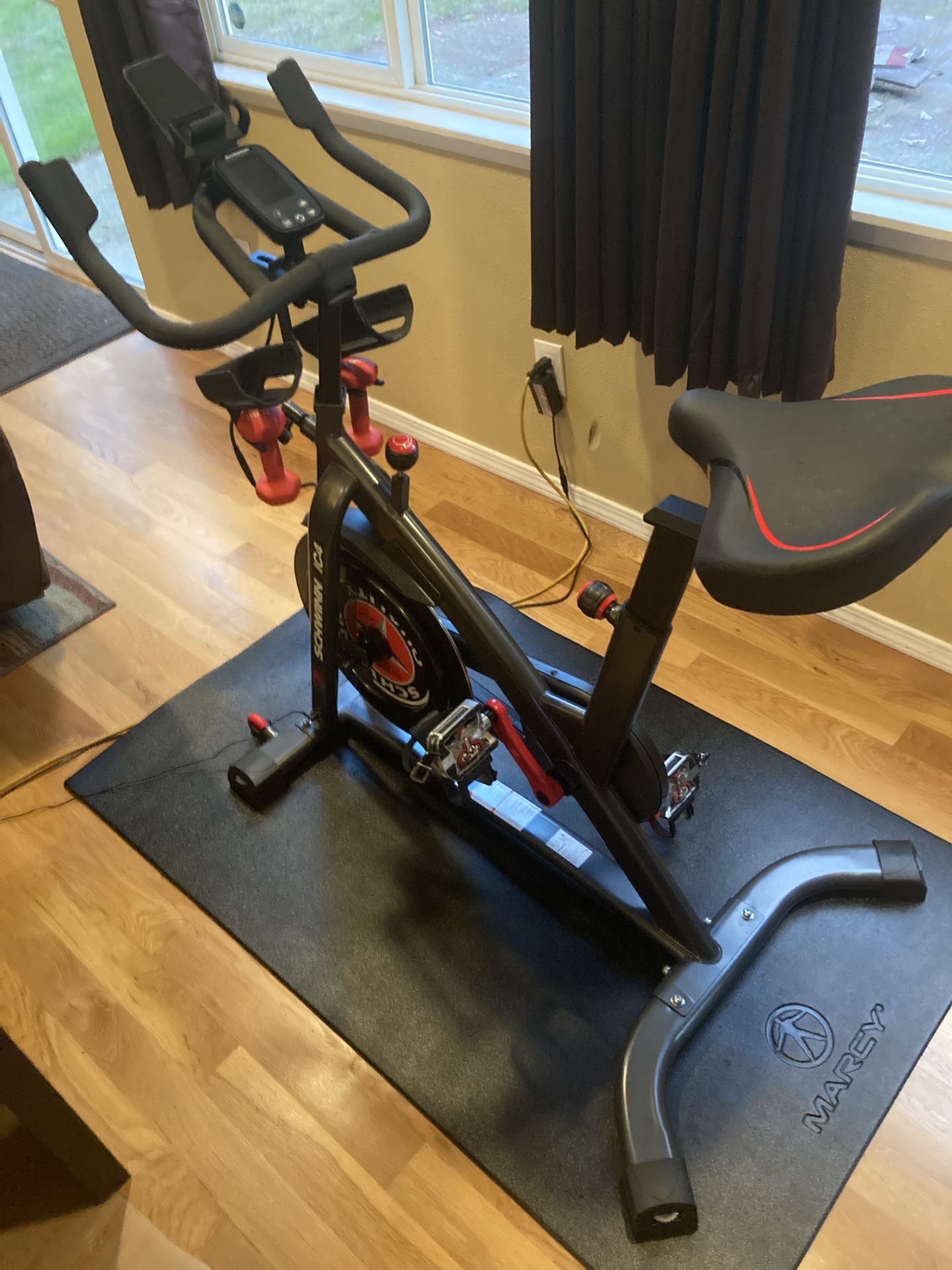 Schwinn IC4