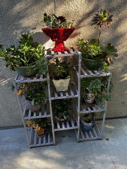 Solid Wood Plants Stand