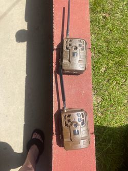 Deer cameras