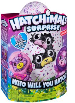 Hatchimal surprise