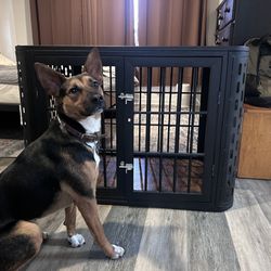 Furniture dog Crate For Large Dogs (puppy Not Included Sorry🥲)