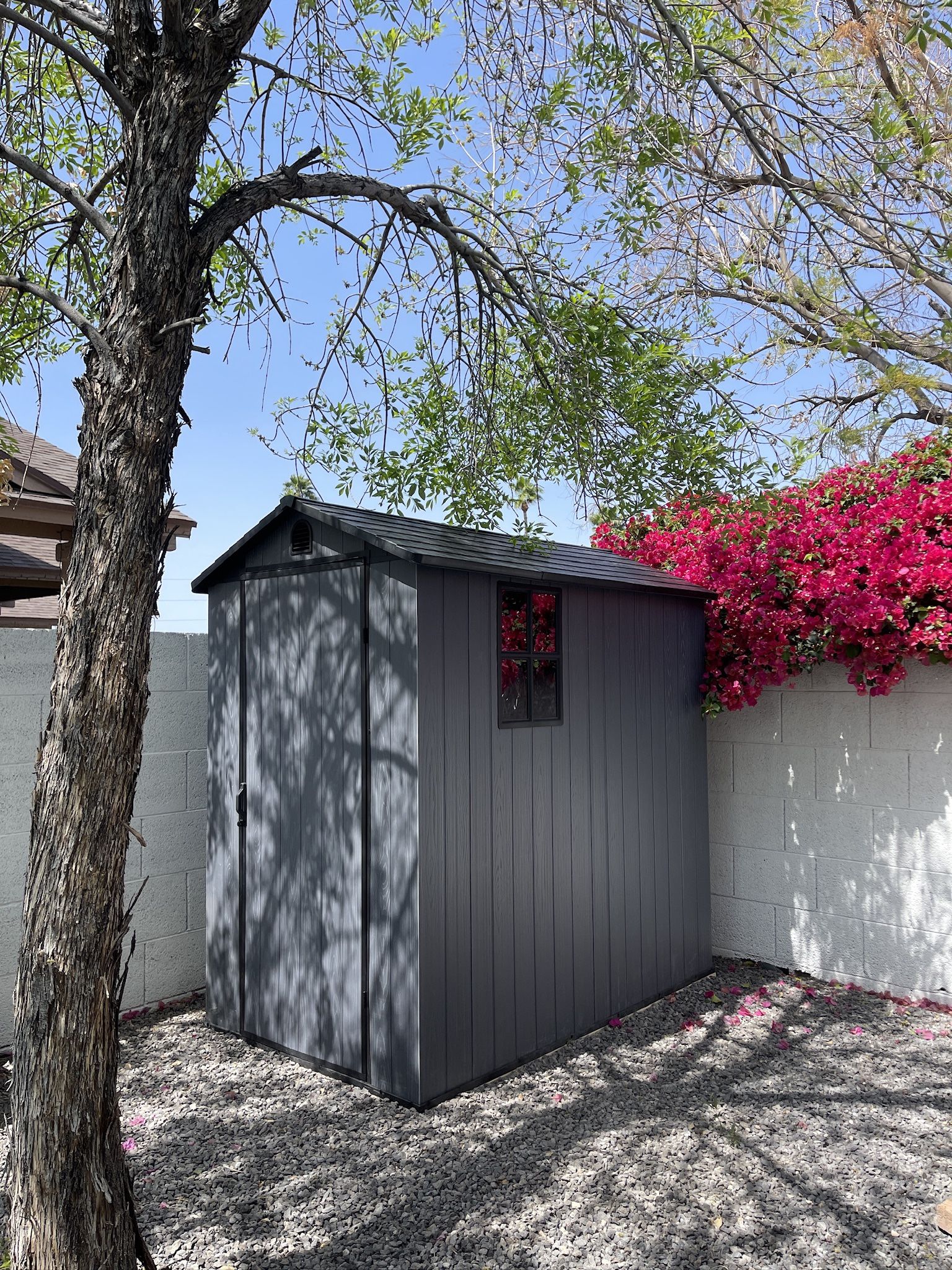 Shed Assembly