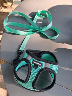 Cat Harness And Leash 