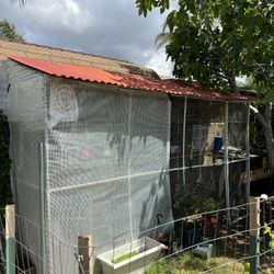 Lady Gouldian Finch Aviary