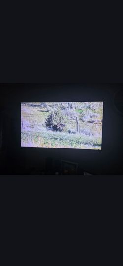 55 " samsung