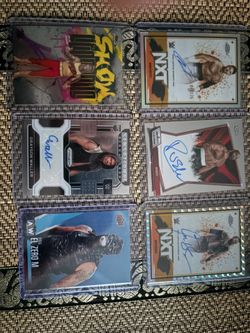WWE Men Card Lot