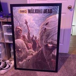 Framed Posters