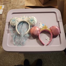 Disneyland Minnie Ears - Set Of 2