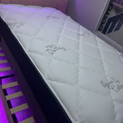 New Twin Mattress 