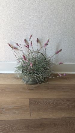 Plant decoration