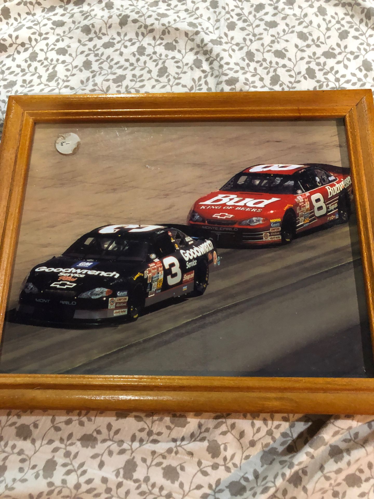 Dale Earnhardt Senior and Junior picture