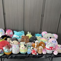 Squishmallows 