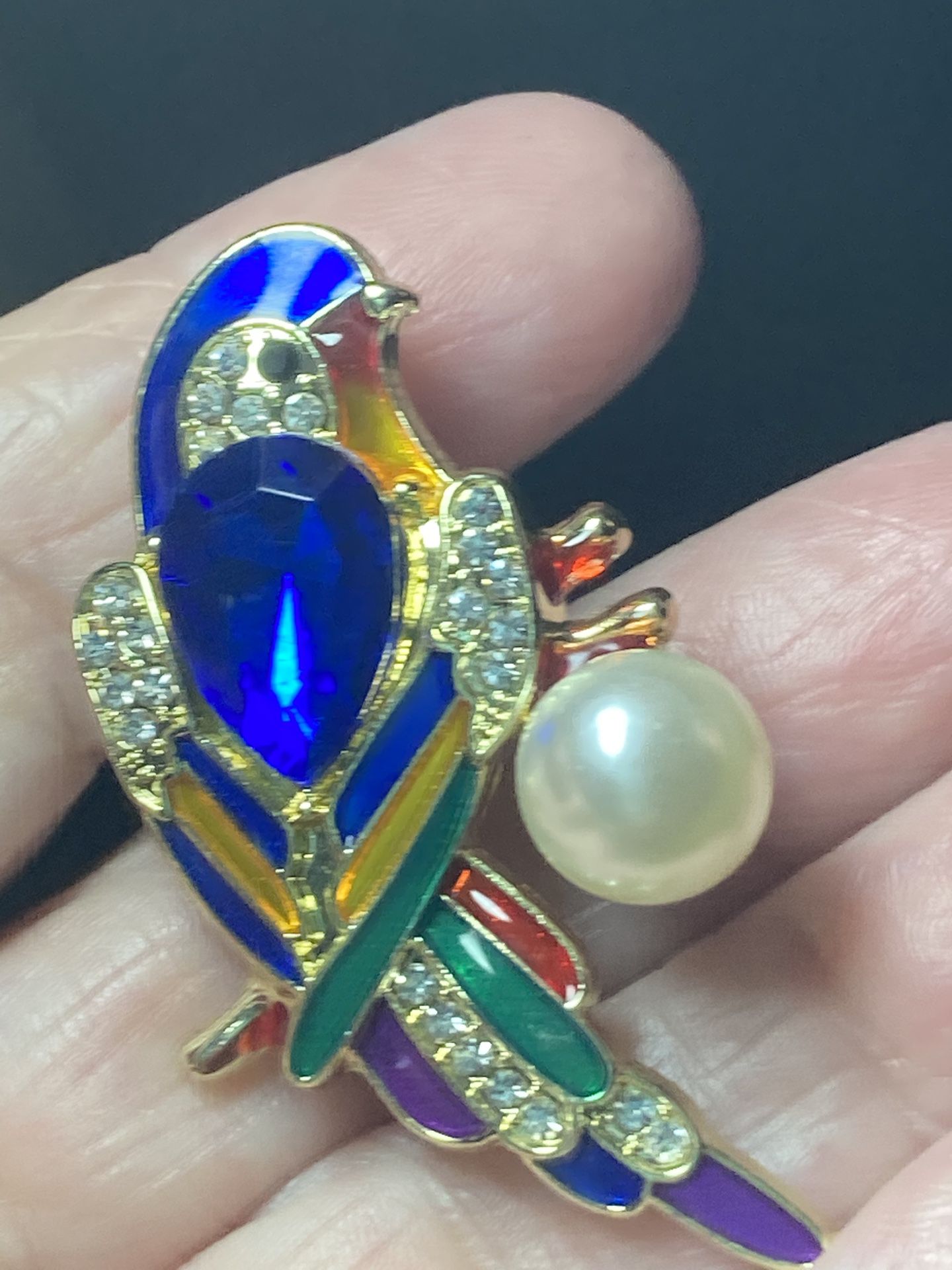 2” Toll Parrot Brooch 