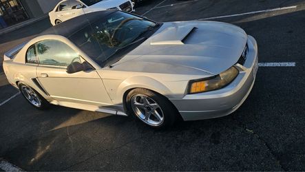 2000 Ford Mustang
