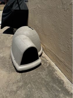 Large dog igloo