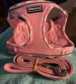 Dog Harness & Leash NEW