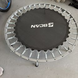 BCAN Rebounder