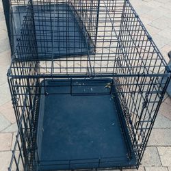 CAGE DOG