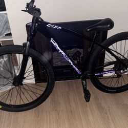 c100