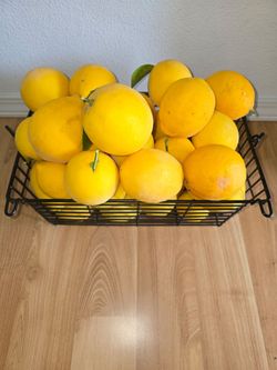 Meyer Lemons
