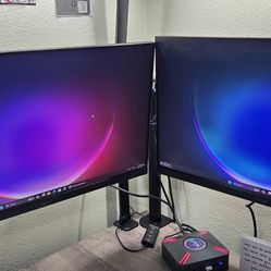 2 Monitors 24 inches with Dual Monitor Desk Mount