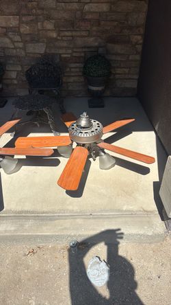 Ceiling fans