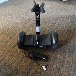 Segway Ninebot Pro