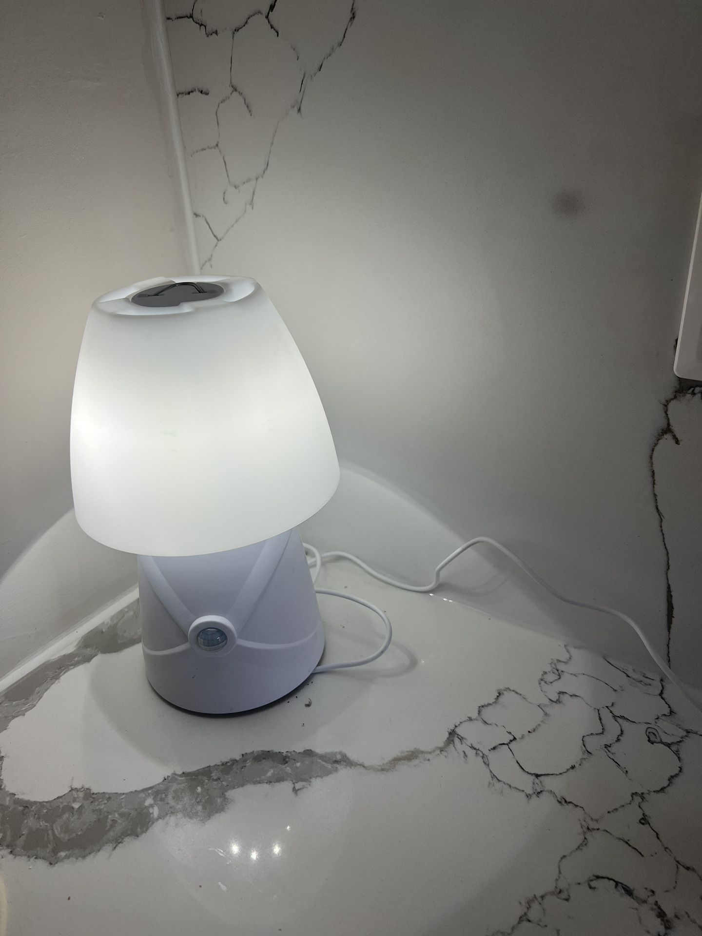 Small Lamp Light  Changes Color 