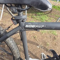 Genesis 29 inch mountain bike