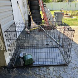 Kennel
