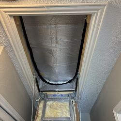 Go Green, Honest Professional 