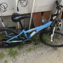 Bicycle
