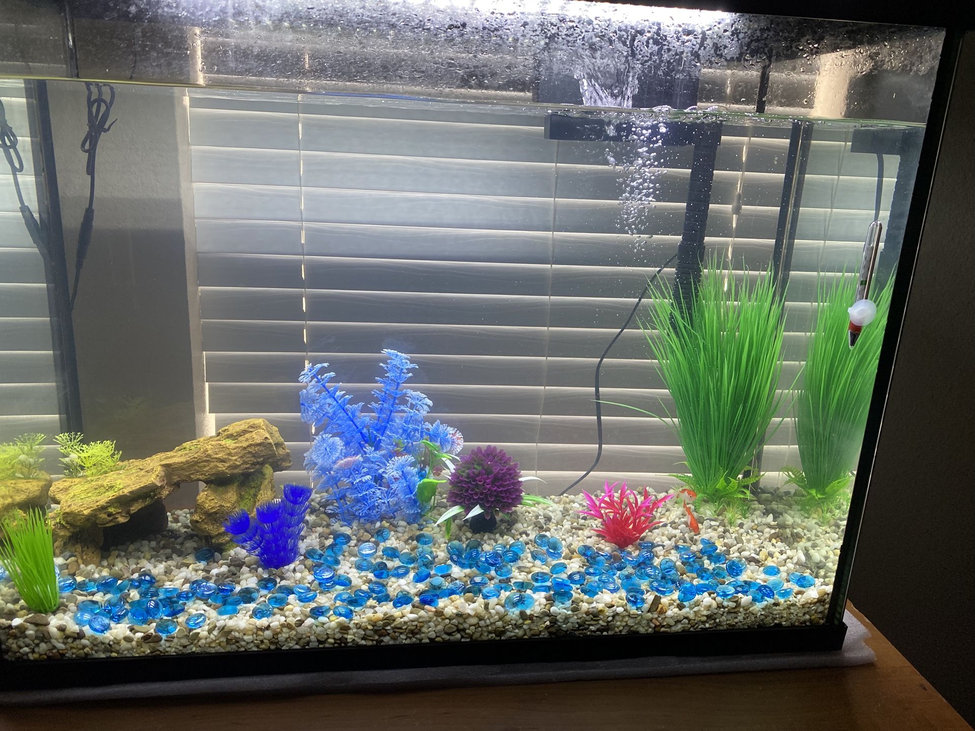 Top fin 37 Gallon Aquarium Tank With Pump,stones,decors and Fish Food