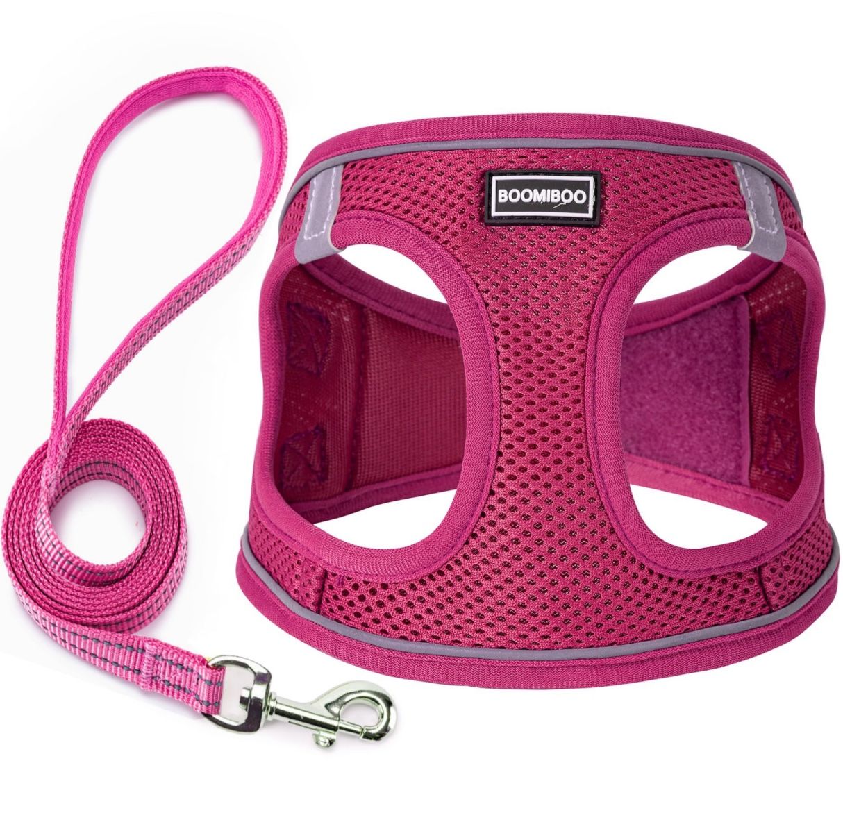 Harness And Leash Set XS