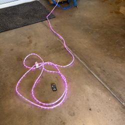 Color Changing Rope Light From Costco With Remote