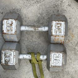 30 Lb Dumbbells 